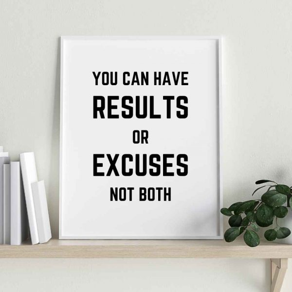 You Can Have Results or Excuses not Both